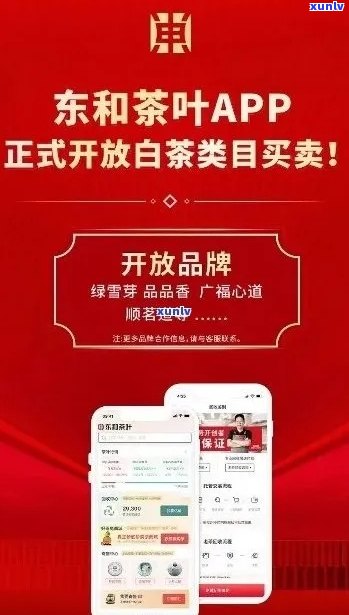 东和茶叶网官网评价：报价、、中茶价格，优质茶叶品质，快讯及时了解