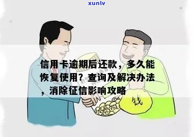 如何在信用卡逾期后申请恢复信用？了解详细步骤和注意事项