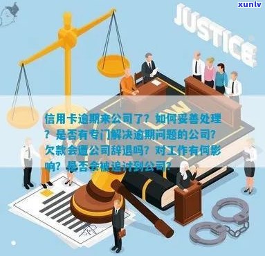 新面对公职人员信用卡债务难题，我们应如何妥善应对并寻求解决方案？