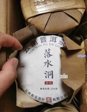 落水洞普洱茶属于哪个茶区？它的味道如何？