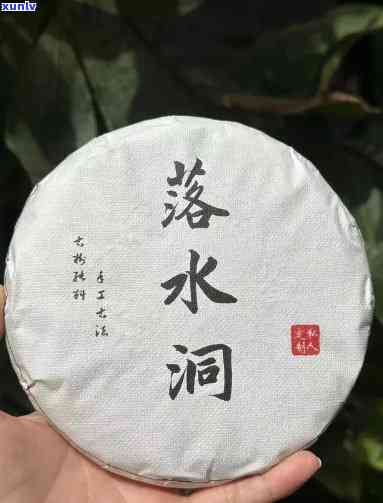 探究落水洞普洱茶的醇厚口感及其独特风味