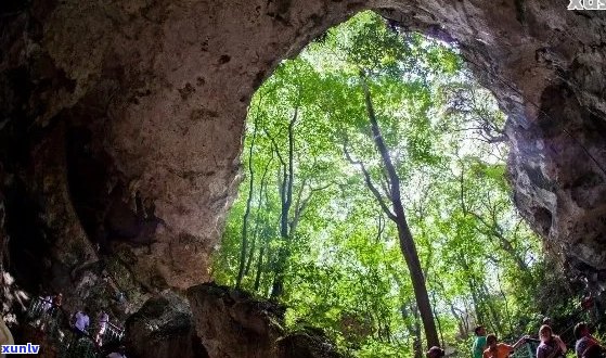 云南落水洞景区简介及位置