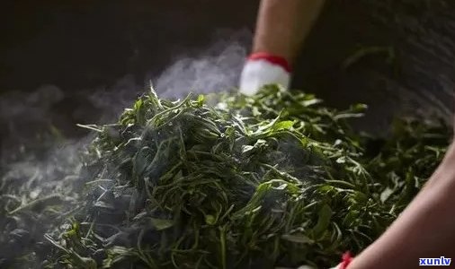 新普洱茶炒制的原因与必要性：探讨炒茶对普洱茶品质和口感的影响