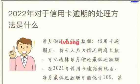 全面指南：如何查询信用卡逾期欠款以及处理 *** ，解决用户所有相关问题