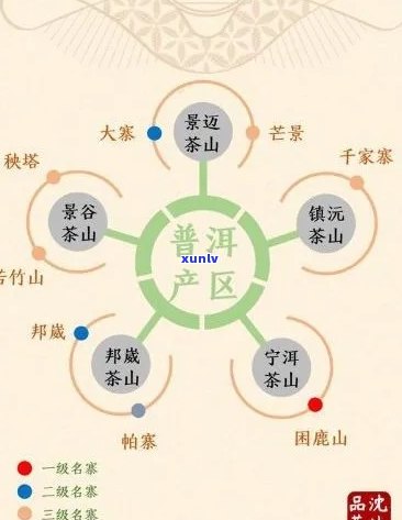 普洱茶级别划分详解：从初级到高级，了解不同级别的特点与品质