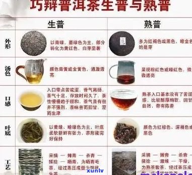 普洱茶层次感对照表