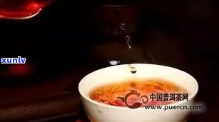 15斤普洱茶打水漂：克、钱、毫升与泡茶水量解析