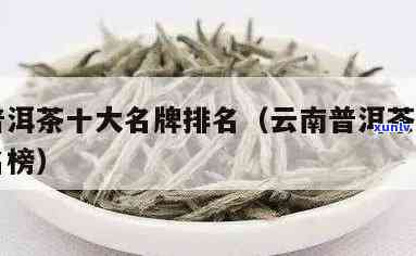 普洱茶前十名名字大全：品质上乘的十大名茶推荐