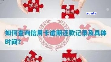 如何查询信用卡逾期还款详情：全面步骤解析与常见疑问解答