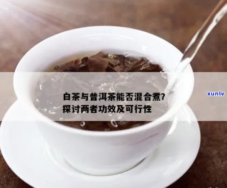 白茶与普洱茶的混合饮用：效果、副作用与注意事项