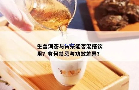 白茶与普洱茶的混合饮用：效果、副作用与注意事项