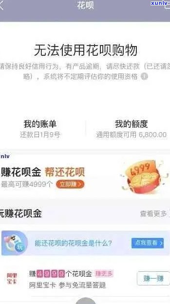 新 花呗逾期未还款导致信用卡功能受限