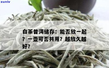 白茶和普洱茶能放在一起存放吗冬天：探讨两种茶叶的共同存放问题