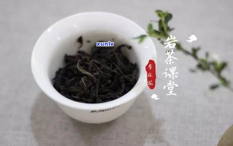 白茶与普洱茶一起喝