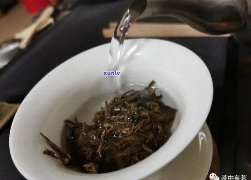 如何泡一杯好普洱茶