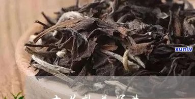 才者茶业云南普洱茶熟茶怎么样？才者茶叶是几线？