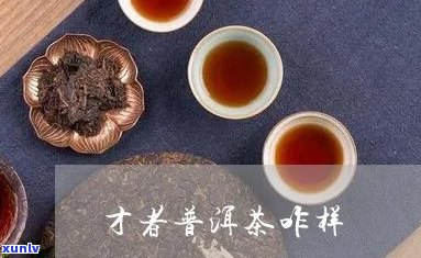 才者茶业云南普洱茶熟茶怎么样？才者茶叶是几线？