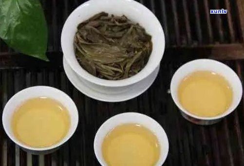 新 普洱茶与丝的独特融合：健功效及烹饪技巧探究