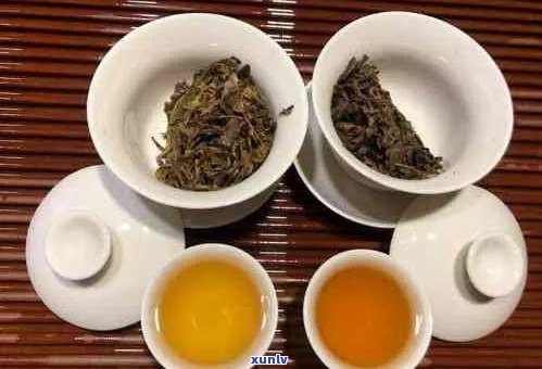 和普洱能一起煮吗？普洱和可以一起泡茶吗？