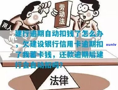 建行信用卡逾期，蓄卡钱被自动扣了怎么办？