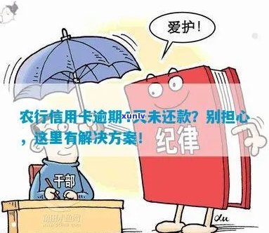 农行信用卡逾期还款全攻略：原因、影响、解决方案一网打尽！