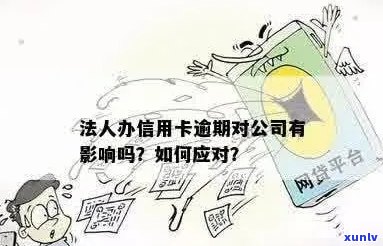 信用卡逾期对注册公司的影响：能否担任法人及影响程度探讨