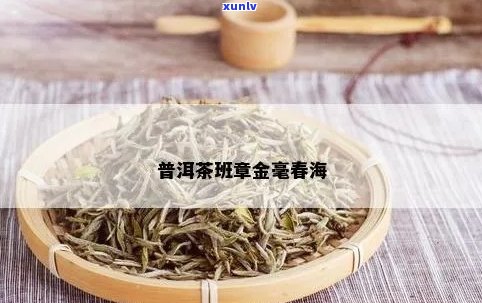 班章金豪春海普洱茶勐海县春海茶厂价格及详情