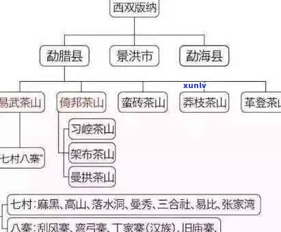 武普洱茶场在哪里，进货及详细地点