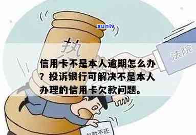 '不是本人办理信用卡逾期会怎么样：投诉与申诉流程'