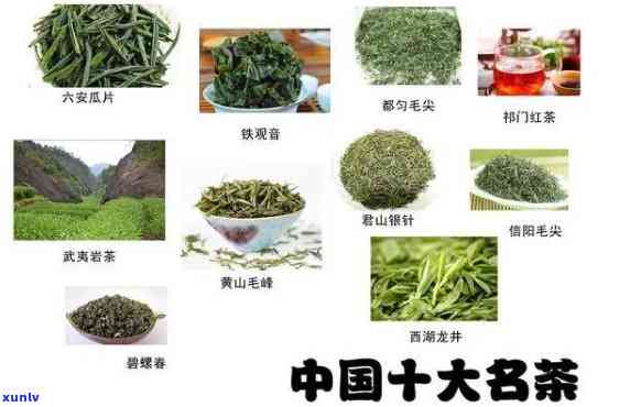 州茶叶品种与特色：一份全面指南，让你了解州的茶文化