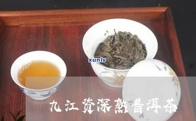 九江熟普洱茶哪家好