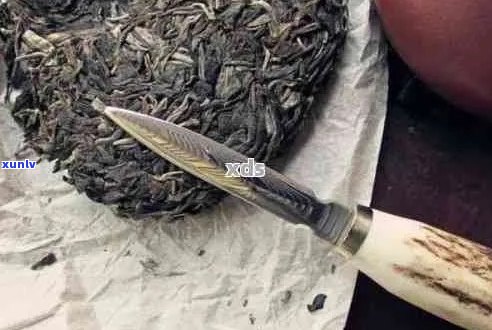 如何选择适合您的普洱茶刀：不同样式的优缺点及使用技巧全面解析