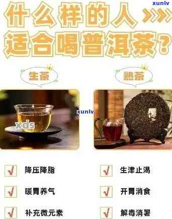 喝普洱茶内分泌失调