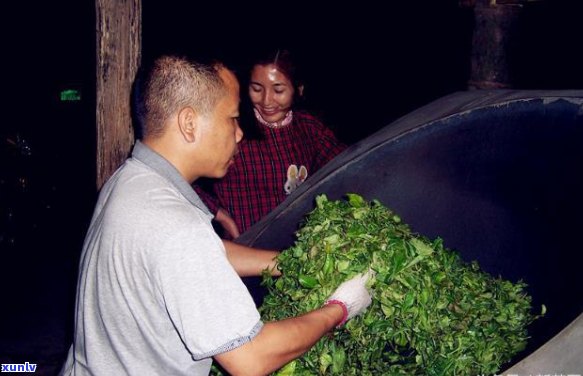 普洱茶的晒青时间长短对茶叶品质的影响：探讨与分析