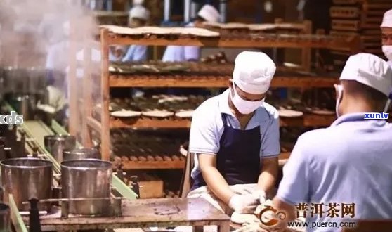 勐海德福源茶厂：优质茶叶生产、品种丰富、环保可持续的茶厂