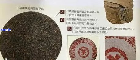 全面解析：如何鉴别普洱饼茶的真伪，从包装开始