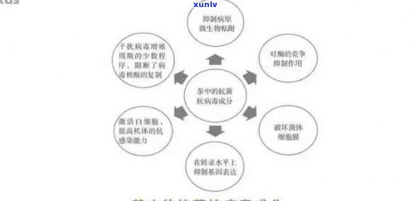 普洱茶的抗病功效及其科学依据：一篇全面解析