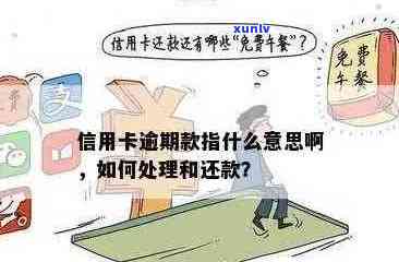 信用卡账户管理中的逾期处理：如何理解停止发账单的含义？