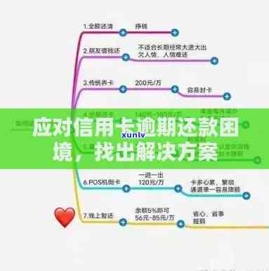 研究生信用卡逾期还款的影响及解决方案