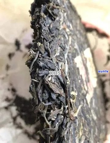 金芽贡饼普洱茶生芽品质与保存期限探讨：过期还能喝吗？