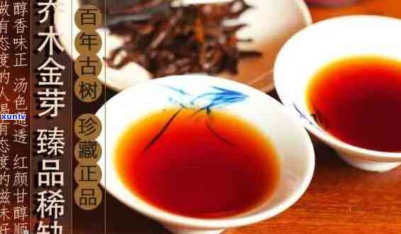 金芽贡茶：普洱茶的魅力、 *** 工艺与品饮技巧详解