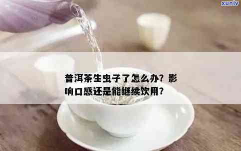 新普洱茶中的虫子咬过还能喝吗？口感和品相会受到影响吗？