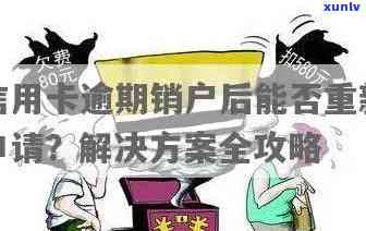 逾期已结清信用卡账户后，如何重新办理信用卡及相关注意事项