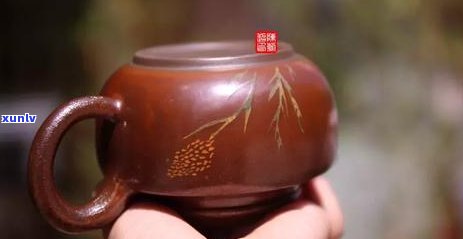 普洱茶：如何正确饮用？是否需要使用特定容器？