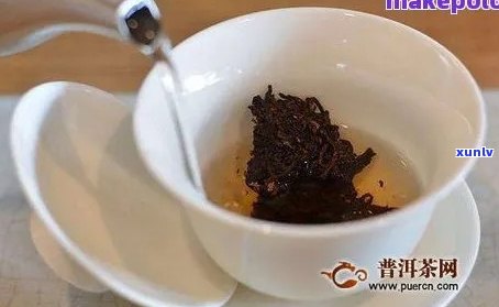 如何使用杯子泡制普洱茶：步骤与技巧