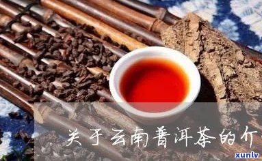 关于云南普洱茶的介绍资料：云南普洱茶叶怎么介绍