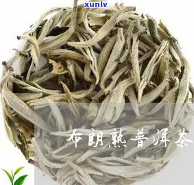 新 '布朗普洱茶厂家联系方式：优质茶叶生产商 *** '