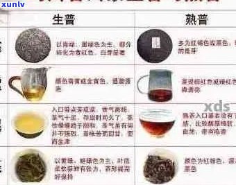 布朗普洱茶价格大全：了解各种类型与等级的布朗普洱茶价格，助你轻松选购