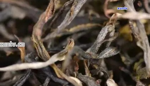 布朗普洱茶的口感特点与描述，熟茶价格及品质分析