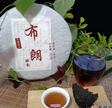 布朗茶业：精选普洱市熟茶叶，匠心打造每一口的醇厚享受